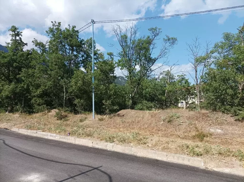 Участок в Крым, Ялта муниципальный округ, Восход пгт ул. Авроры (8.1 ... - Фото 2