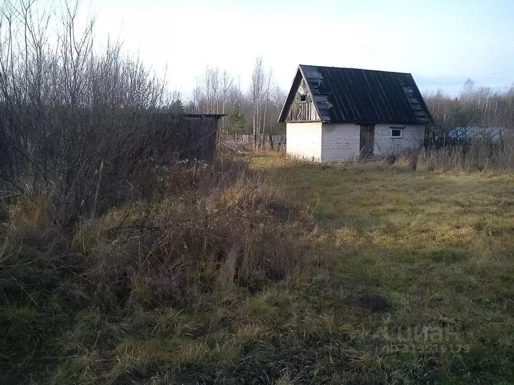Участок в Владимирская область, Гусь-Хрустальный муниципальный округ, ... - Фото 1