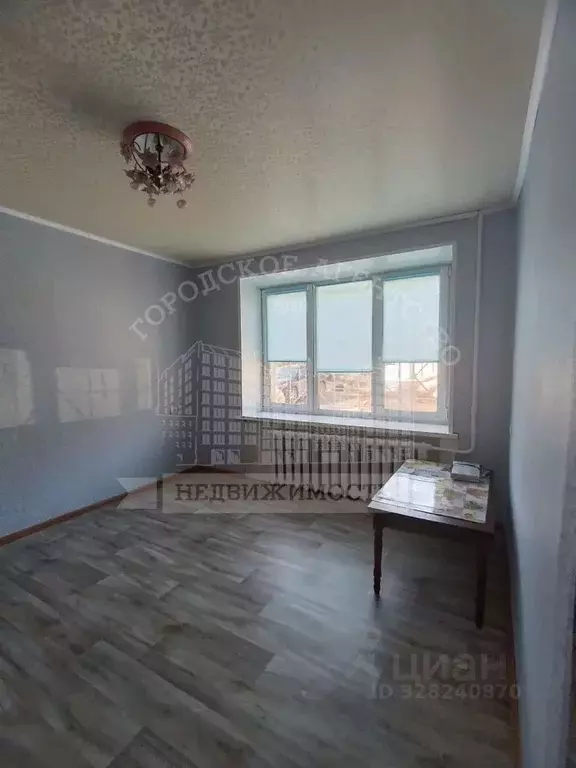 1-к кв. Калужская область, Калуга ул. Клюквина, 27 (21.0 м) - Фото 2