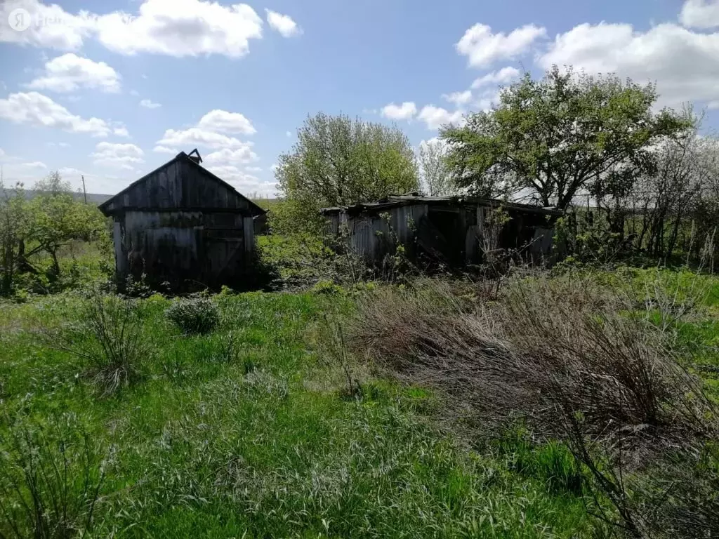 Участок в Лысогорский район, село Федоровка (20 м), Купить земельный  участок Федоровка, Лысогорский район, ID объекта - 20005209986