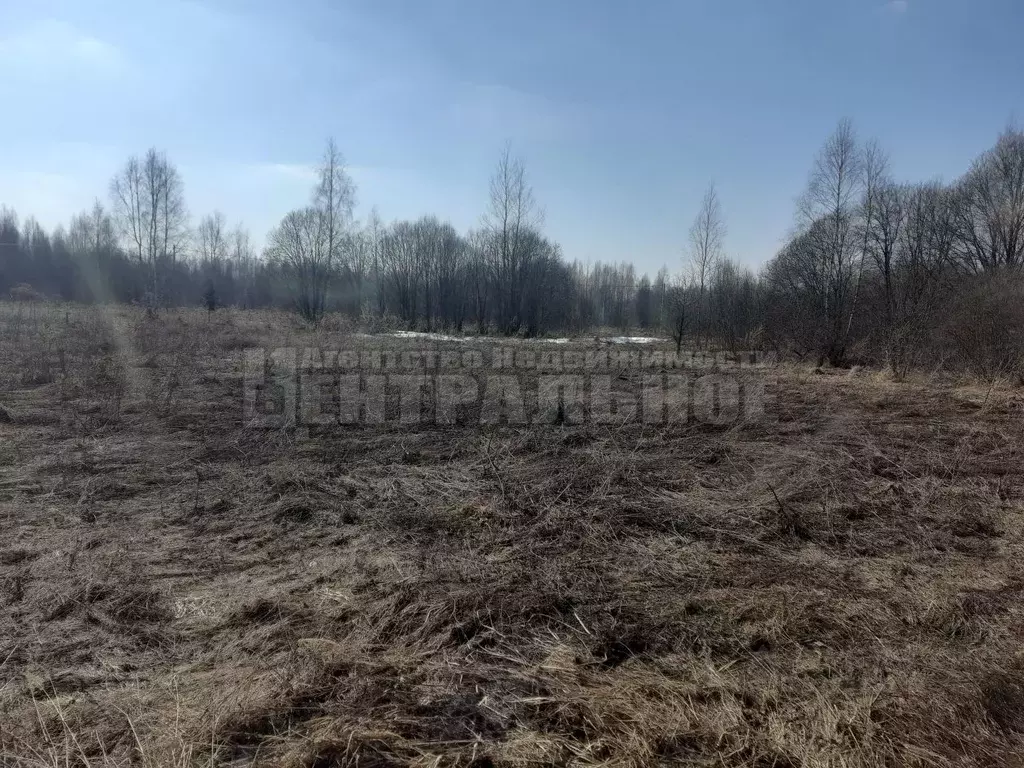 Участок в Смоленская область, Смоленский муниципальный округ, д. ... - Фото 2