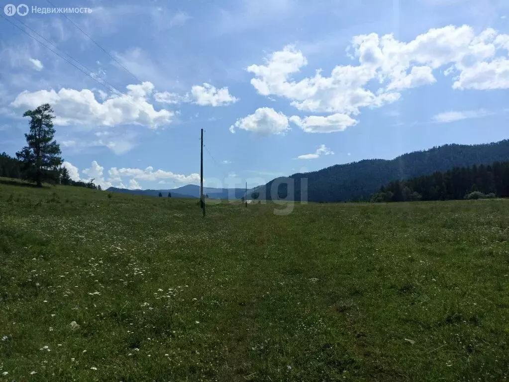 Участок в Шебалинский район, село Барагаш (3110 м) - Фото 0