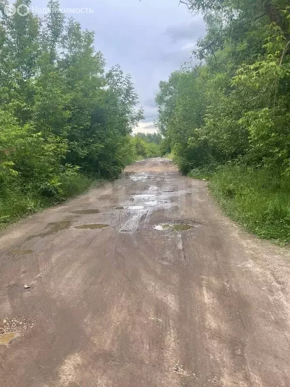 Участок в Ярославль, СНТ Ветеран Труда (4 м) - Фото 1