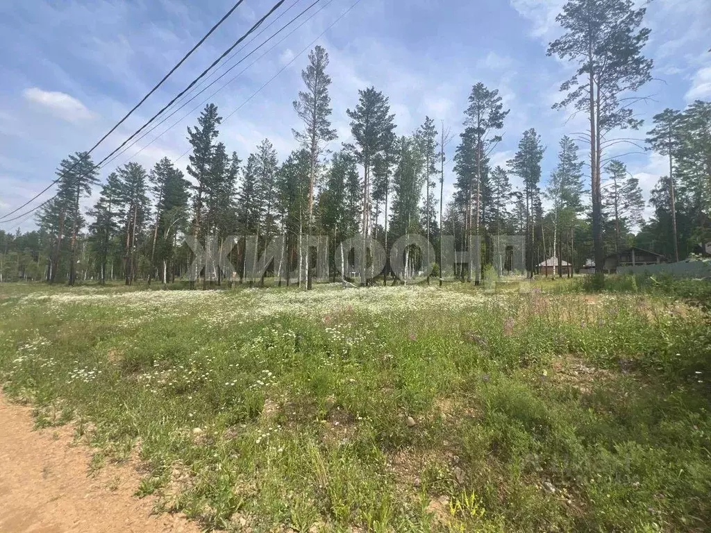 Участок в Иркутская область, Иркутский муниципальный округ, ... - Фото 1