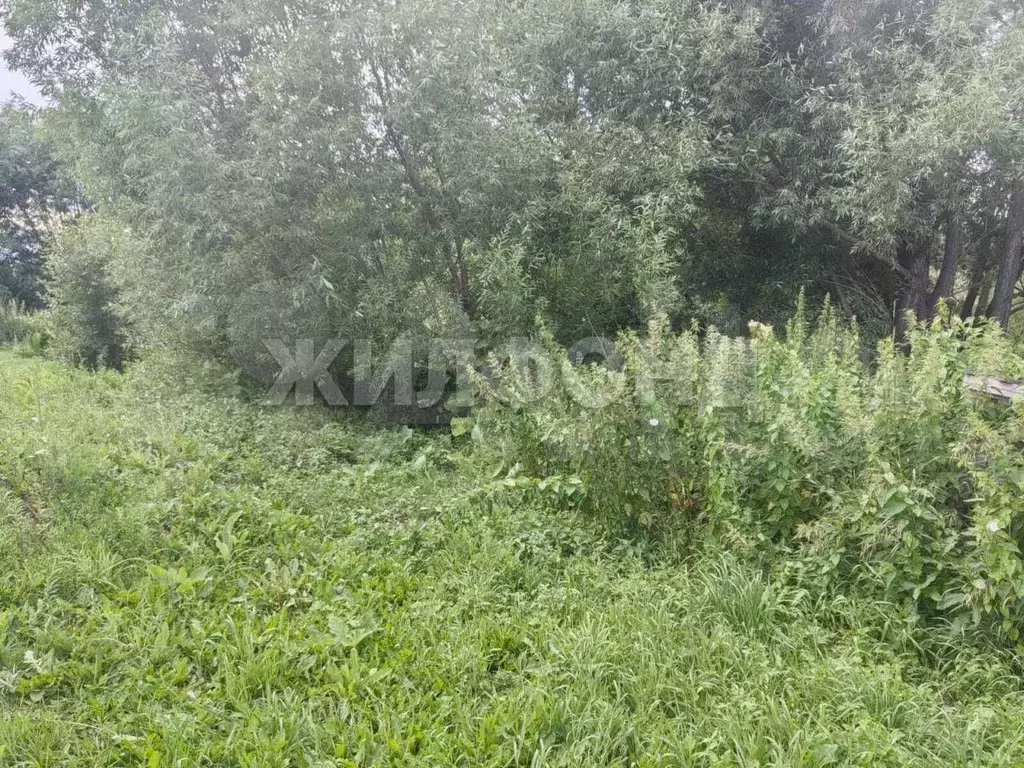 Участок 19 сот. (ИЖС) - Фото 1