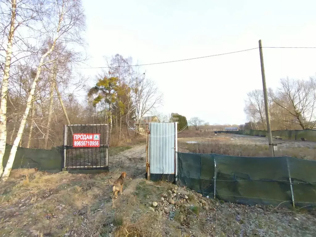 Участок в Калининградская область, Зеленоградский муниципальный округ, ... - Фото 1