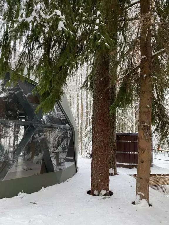 Дом в Ленинградская область, Выборгский район, Рощино пгт  (40 м) - Фото 2