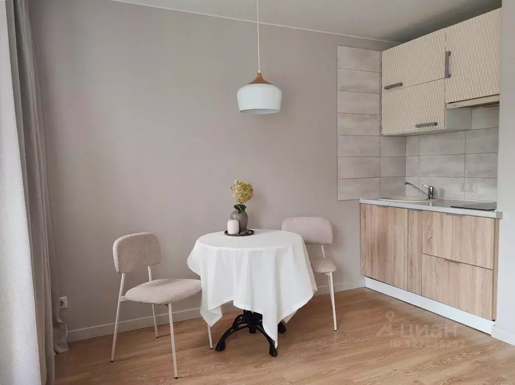 1-к кв. Московская область, Пушкино проезд 2-й Надсоновский, 3с1 (25.4 ... - Фото 1