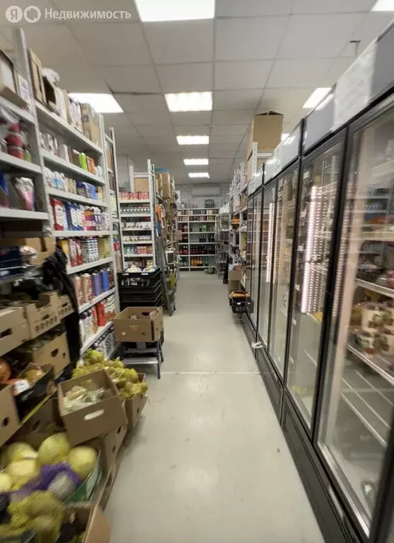 Помещение свободного назначения (205.1 м) - Фото 1