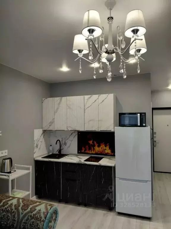 Студия Краснодарский край, Сочи ул. Ленина, 290/8к1 (26.0 м) - Фото 2