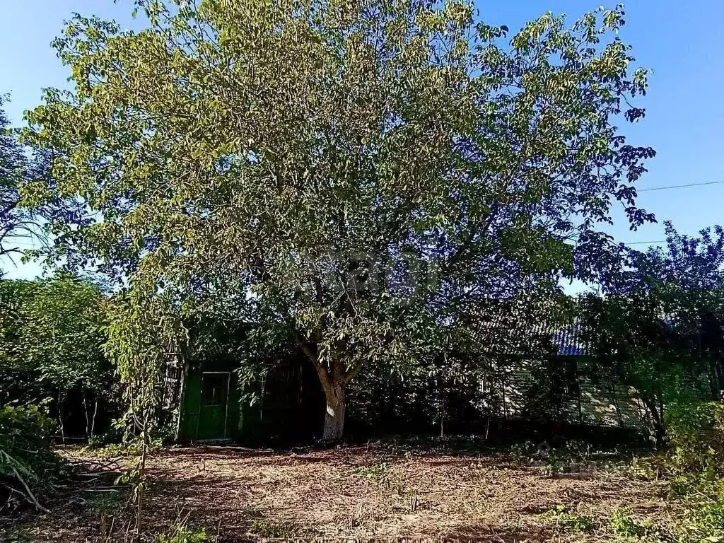 Участок в Ростовская область, Ростов-на-Дону Покровский пер. (7.24 ... - Фото 1