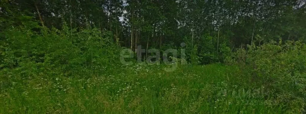 Участок в Вологодская область, Вологда Разлив садоводческое ... - Фото 1