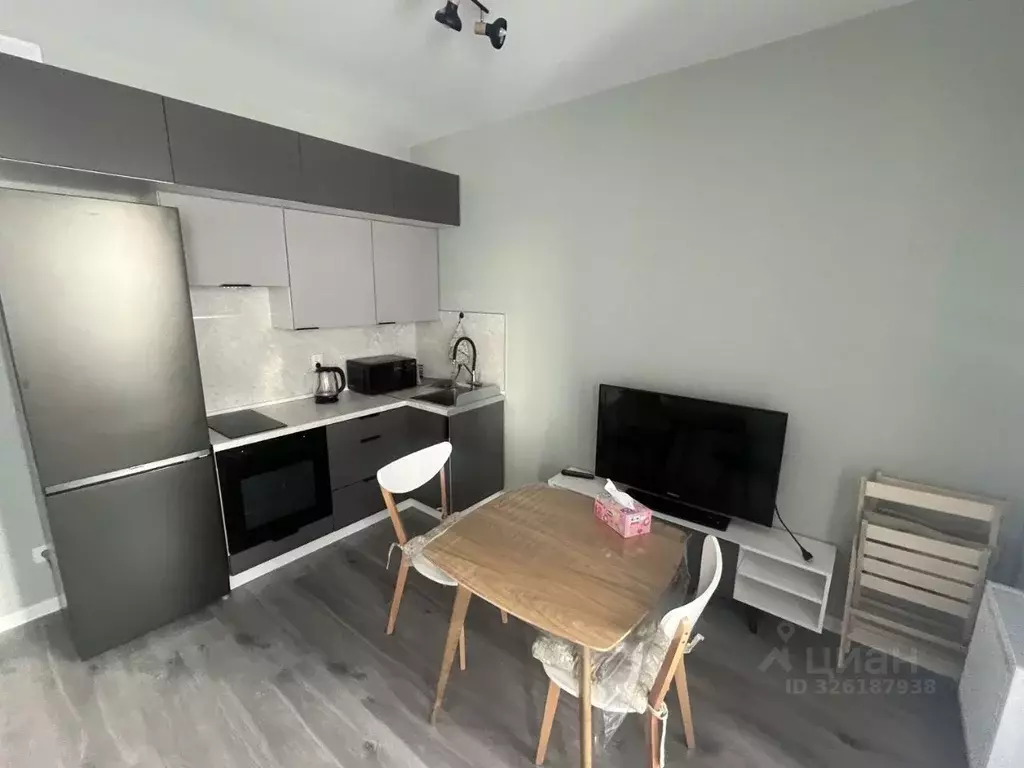 Студия Санкт-Петербург пос. Парголово, дор. Михайловская, 6 (29.5 м) - Фото 1