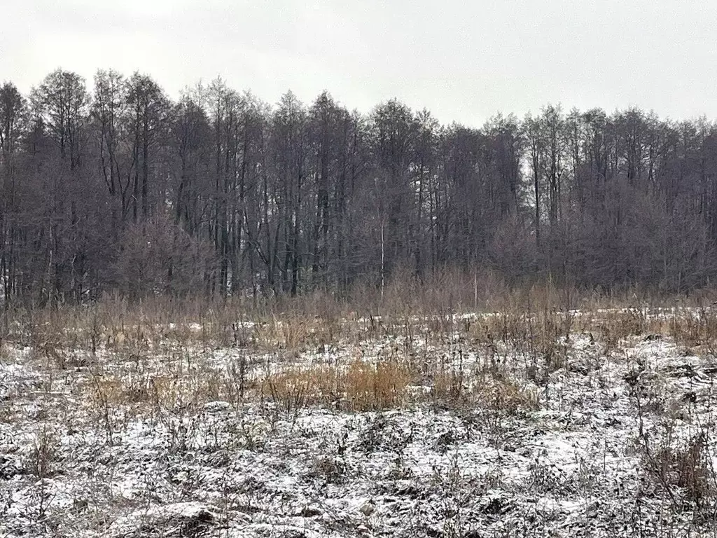 Участок в Московская область, Бронницы  (10.0 сот.) - Фото 0
