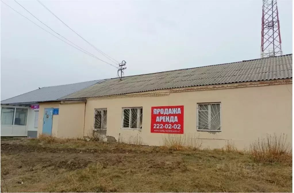 Помещение свободного назначения в Новосибирская область, Новосибирский ... - Фото 0