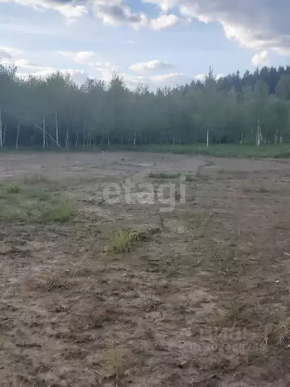 Участок в Московская область, Чехов городской округ, д. Чепелево 19 ... - Фото 1