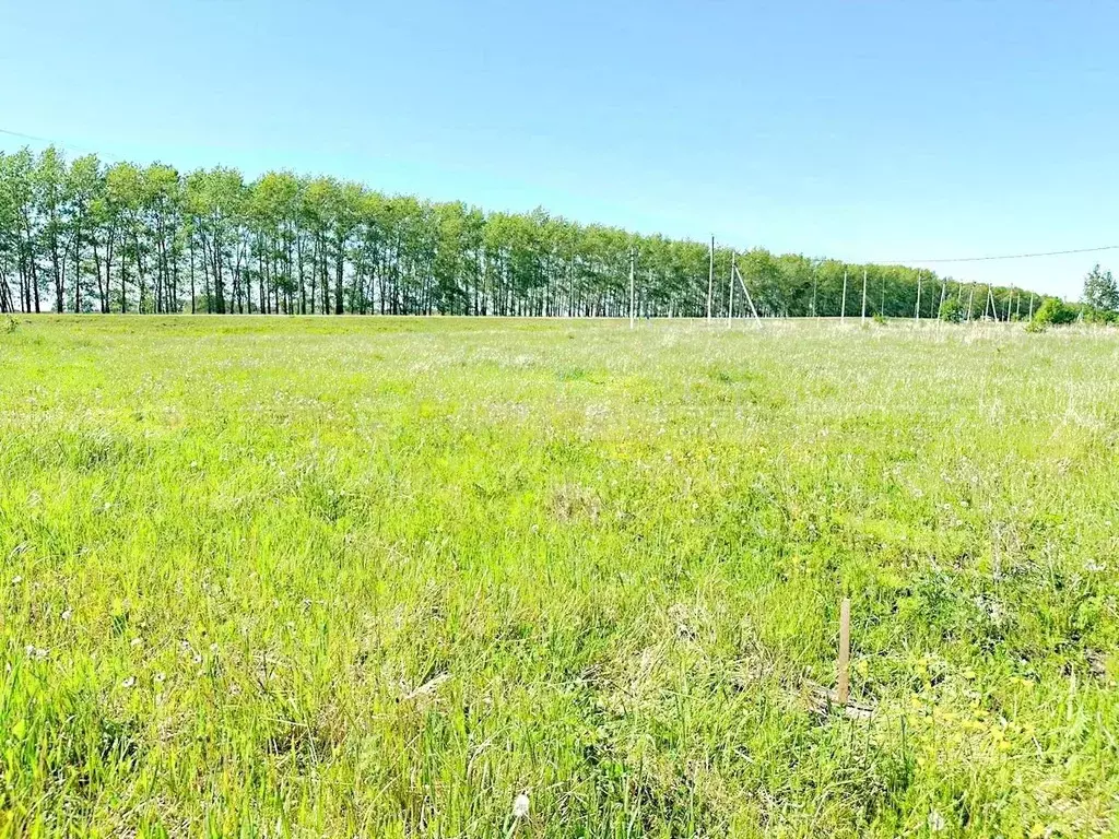 Участок в Татарстан, Тетюши ул. Дряничкина (12.0 сот.) - Фото 2