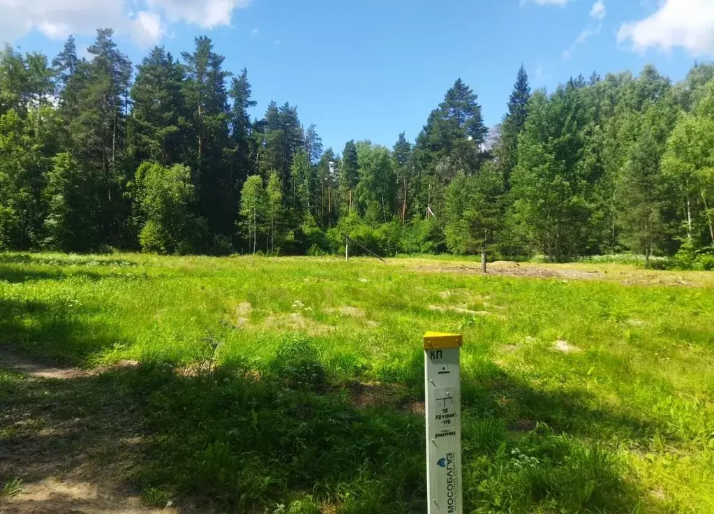 Участок в Московская область, Щелково городской округ, д. Дуброво  ... - Фото 1