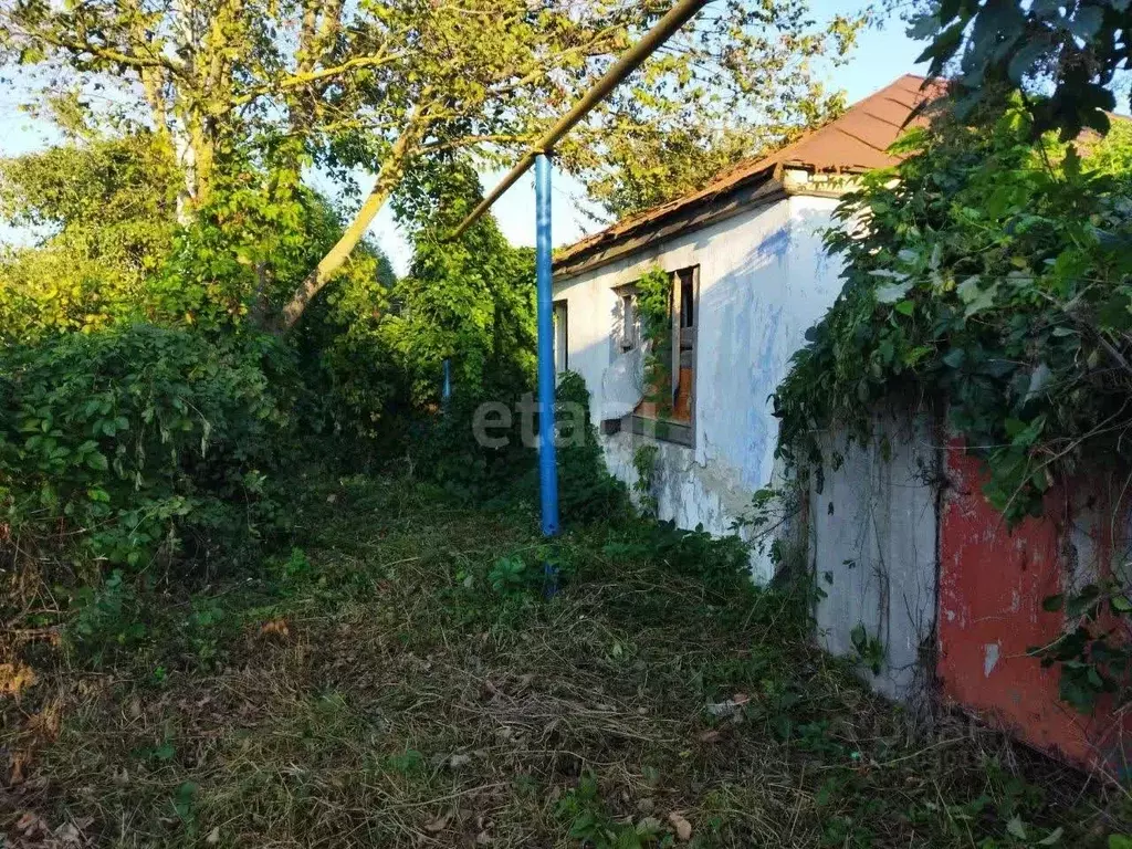 Дом в Белгородская область, Волоконовский район, Пятницкое рп Низовая ... - Фото 0