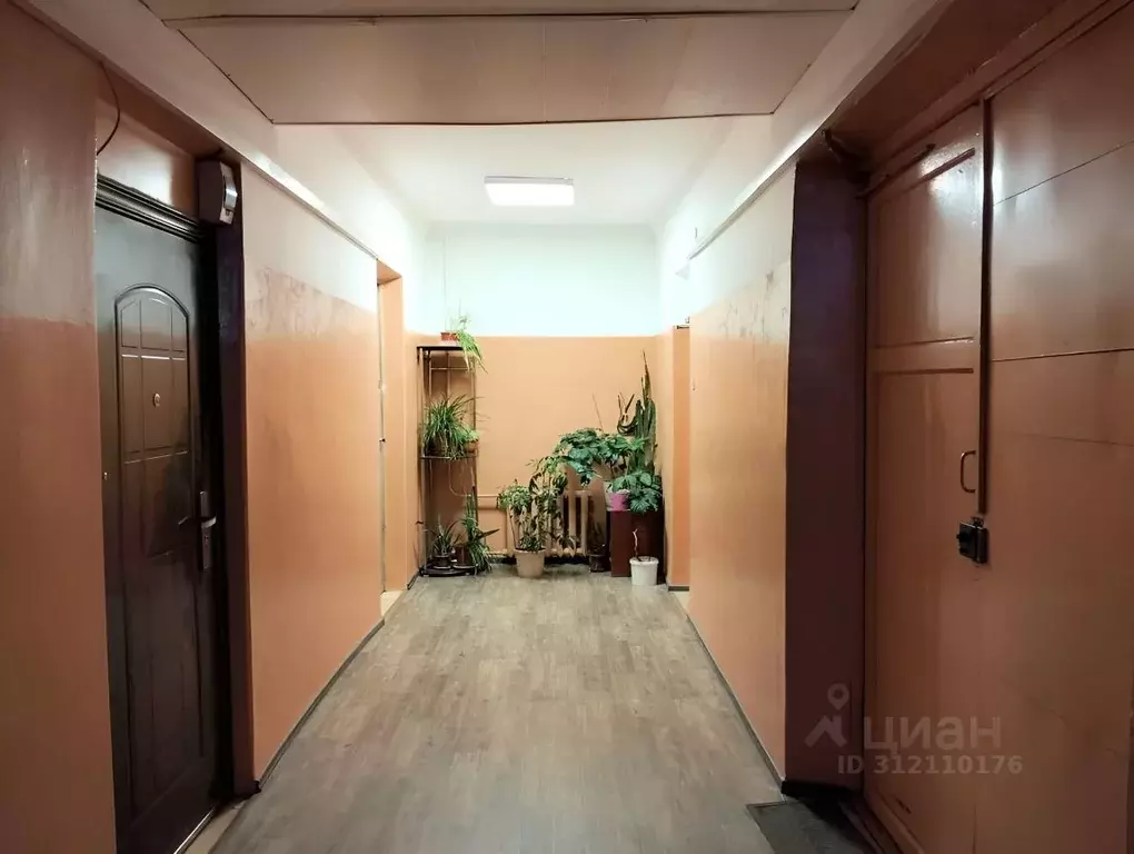 Комната Санкт-Петербург Железноводская ул., 26-28 (20.0 м) - Фото 2