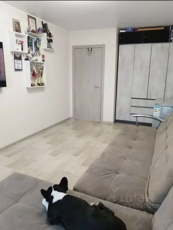 3-к кв. Саратовская область, Энгельс Смоленская ул., 17 (72.0 м) - Фото 2