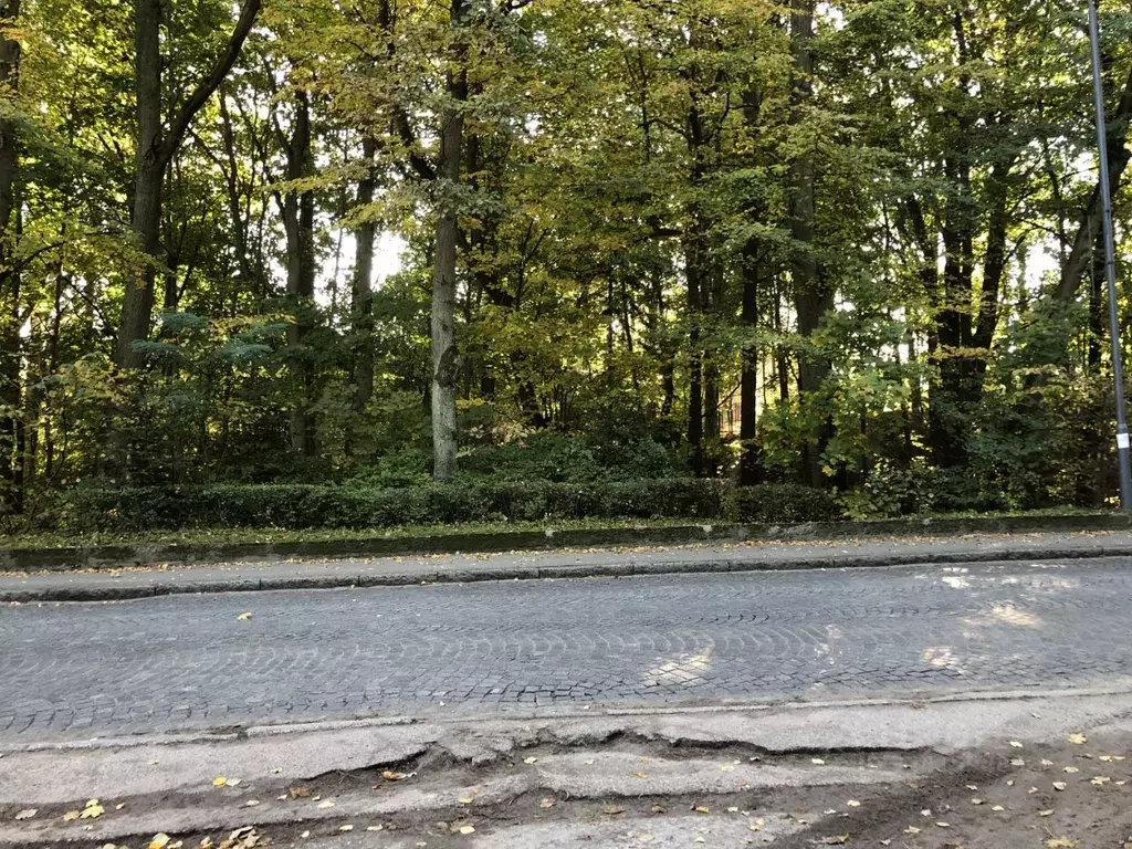 Участок в Калининградская область, Светлогорск Калининградский просп. ... - Фото 2