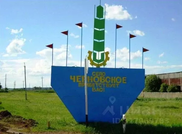 Участок в Пермский край, Большесосновский муниципальный округ, с. ... - Фото 1