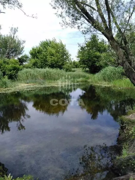 Участок в Воронежская область, с. Верхняя Хава ул. Новая (10.0 сот.) - Фото 0