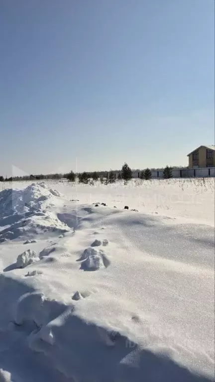 Участок в Тюменская область, Тюменский муниципальный округ, Соловьиная ... - Фото 1