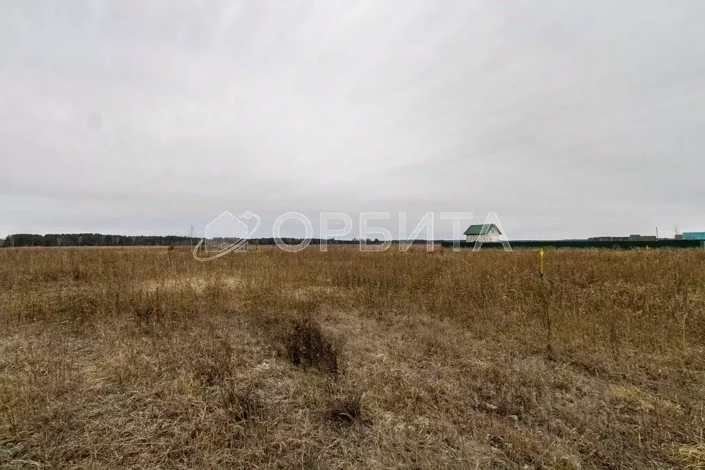 Участок в Тюменская область, Тюменский муниципальный округ, д. ... - Фото 2