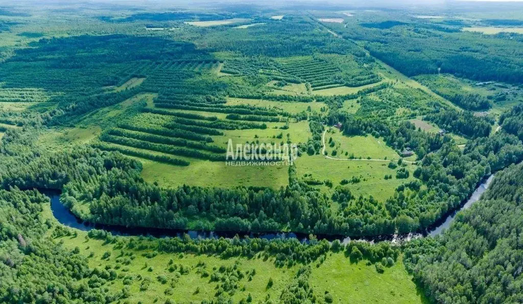 Участок в Карелия, Питкярантский муниципальный округ, д. Ряймяля  ... - Фото 1