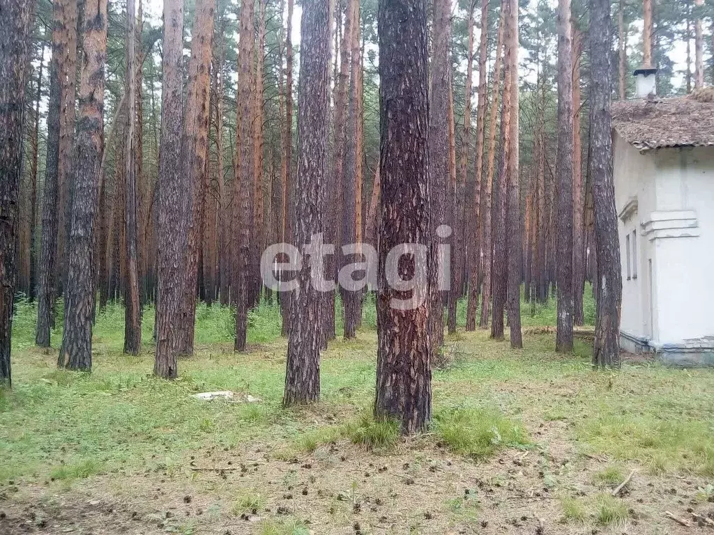 Офис в Красноярский край, Березовский район, Есаульский сельсовет, с. ... - Фото 1