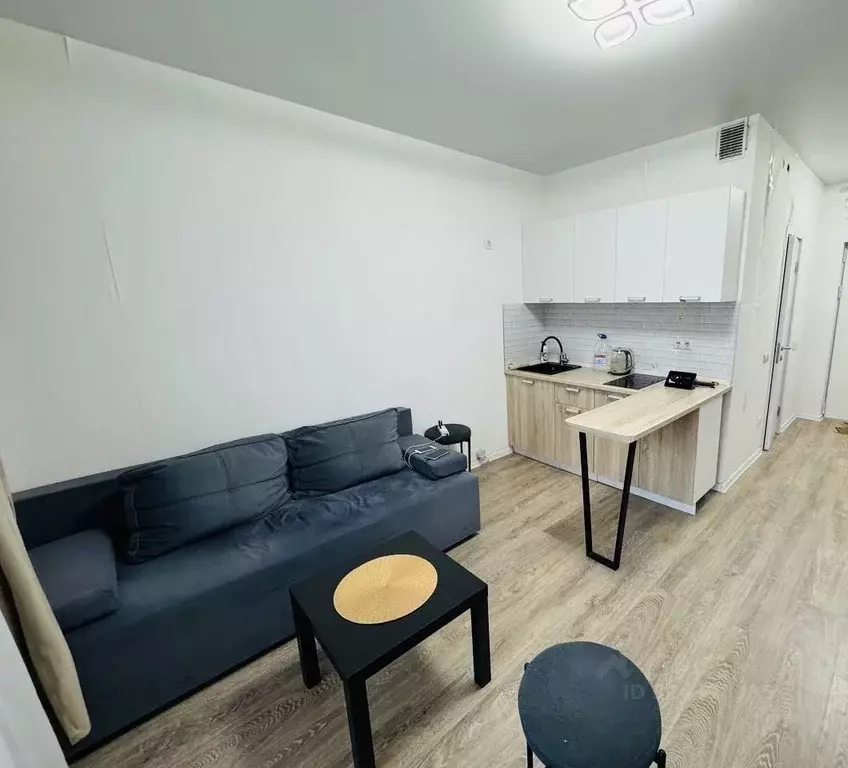 Студия Московская область, Люберцы городской округ, Мирный пгт ул. ... - Фото 2