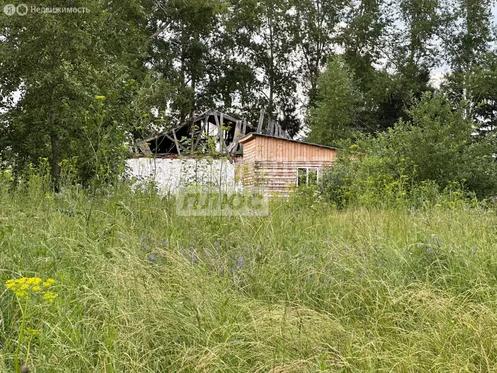 Участок в Тара, улица Чкалова, 53/138 (7.54 м) - Фото 1