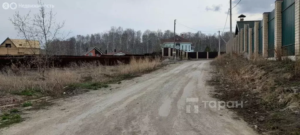 Участок в Сосновский район, Алишевское сельское поселение, село ... - Фото 1