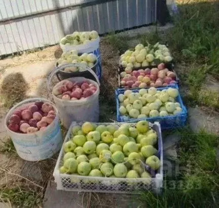 Дом в Оренбургская область, Оренбургский район, Благословенский ... - Фото 1