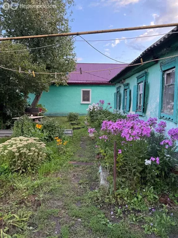Дом в Знаменка, Советская улица, 85 (28.7 м) - Фото 2