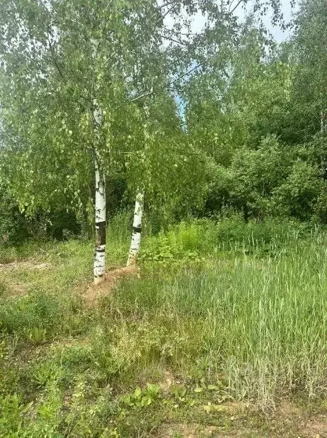 Участок в Московская область, Ногинск Богородский городской округ, ... - Фото 1