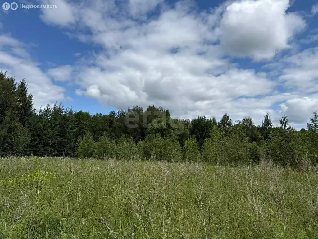 Участок в Костромская область, посёлок городского типа ... - Фото 0