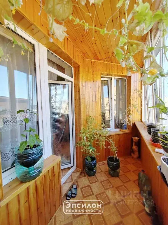 2-к кв. Курская область, Курск ул. Радищева, 20 (50.4 м) - Фото 1