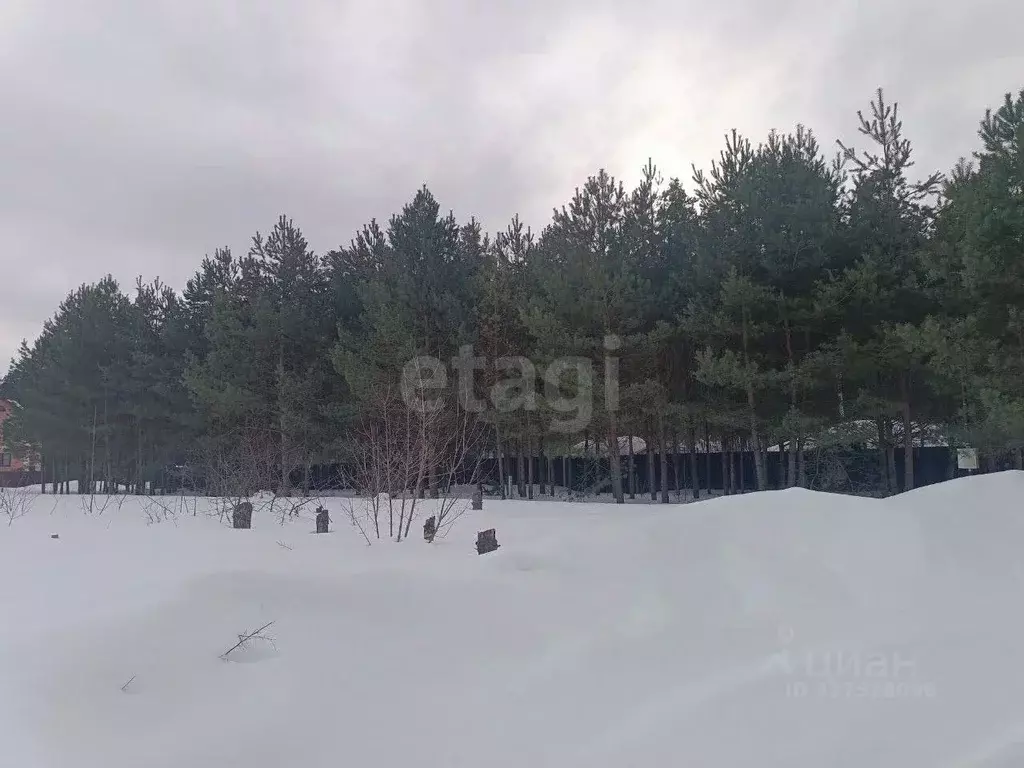 Участок в Московская область, Орехово-Зуевский городской округ, д. ... - Фото 2