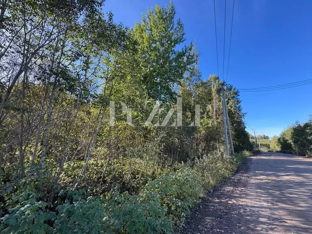 Участок в Ленинградская область, Приозерский район, Петровское с/пос, ... - Фото 2