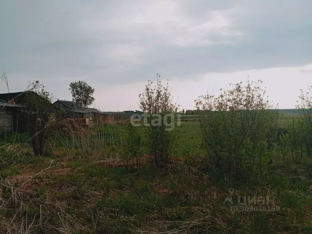 Участок в Тюменская область, Омутинский район, д. Кашевская Береговая ... - Фото 1