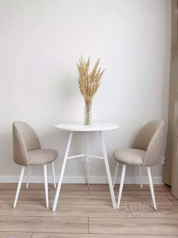 Студия Московская область, Красногорск ул. Александровская, 4 (25.0 м) - Фото 2