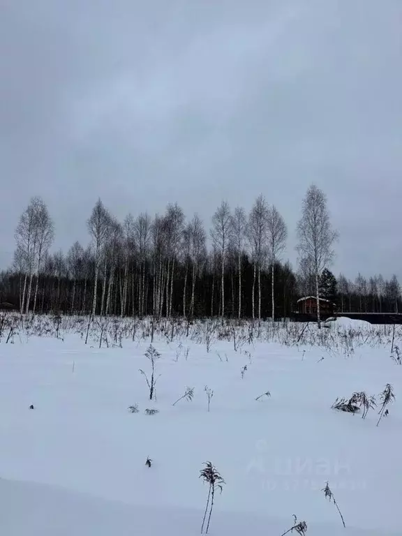 Участок в Московская область, Рузский муниципальный округ, д. Лобково  ... - Фото 2