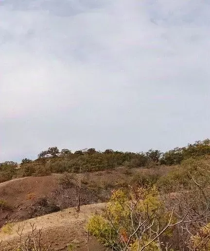 Участок в Крым, Алушта муниципальный округ, с. Рыбачье ул. Дачная ... - Фото 1