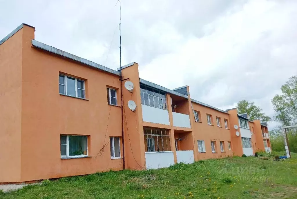 1-к кв. Нижегородская область, Володарский муниципальный округ, с. ... - Фото 0