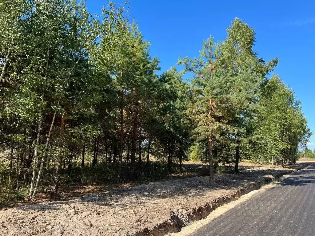 Участок в Московская область, Подольск городской округ, Пузиково кп 74 ... - Фото 2