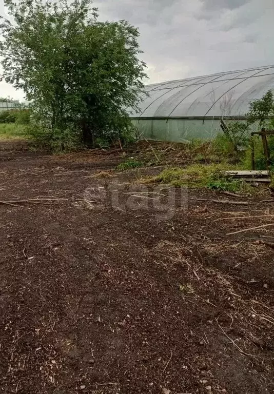 Дом в станица Багаевская, улица Свободы (60.4 м) - Фото 1