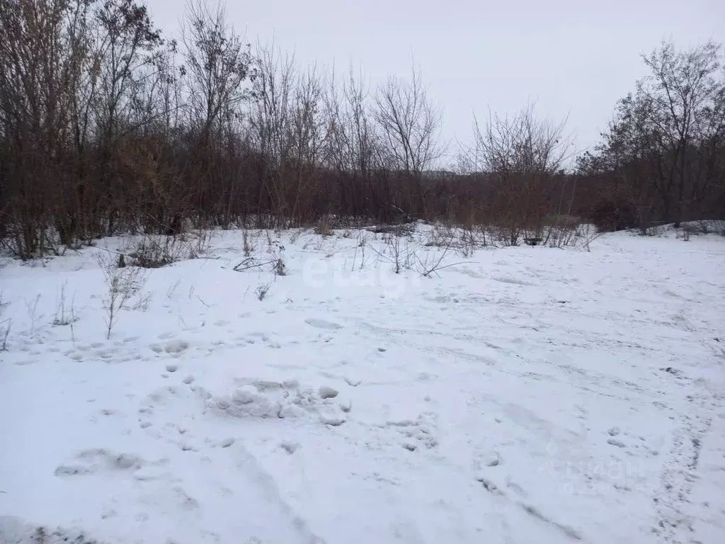 Участок в Белгородская область, Губкин Горняк-Мичуринец СТ,  (7.18 ... - Фото 1